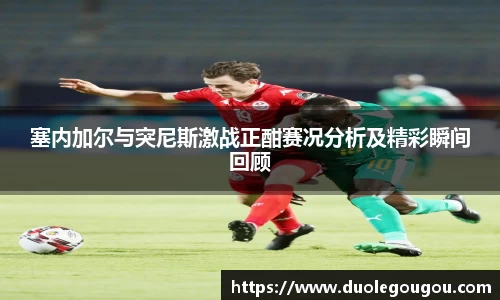 塞内加尔与突尼斯激战正酣赛况分析及精彩瞬间回顾